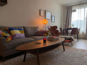 Cozy Apartment in Reykjavik